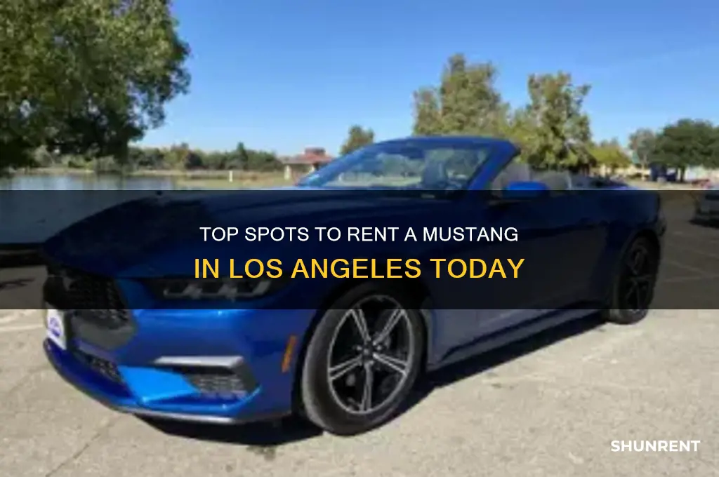 where to rent a mustang in los angeles