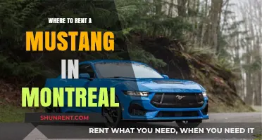 Rev Up Your Montreal Adventure: Where to Rent a Mustang