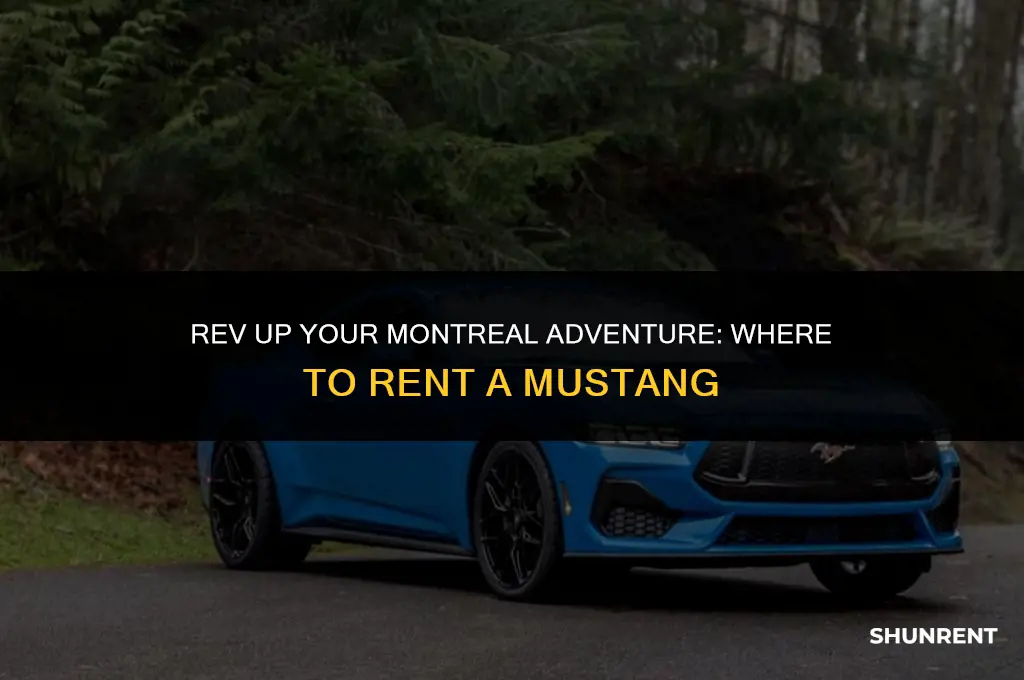 where to rent a mustang in montreal