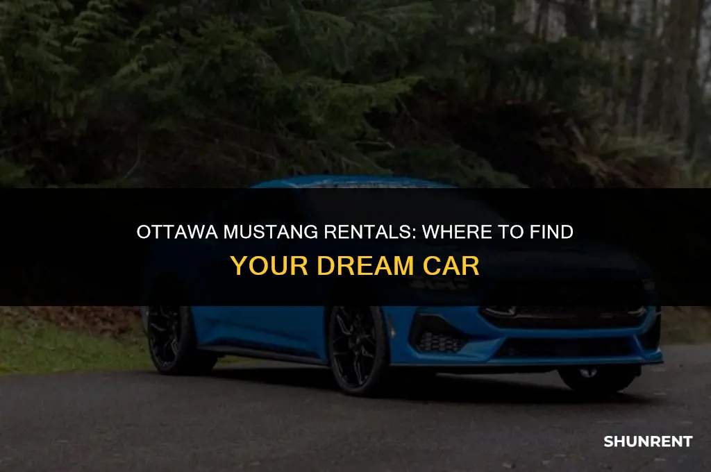 where to rent a mustang in ottawa