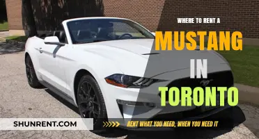 Exploring Toronto in Style: Your Guide to Renting a Mustang
