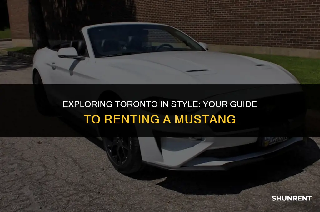 where to rent a mustang in toronto