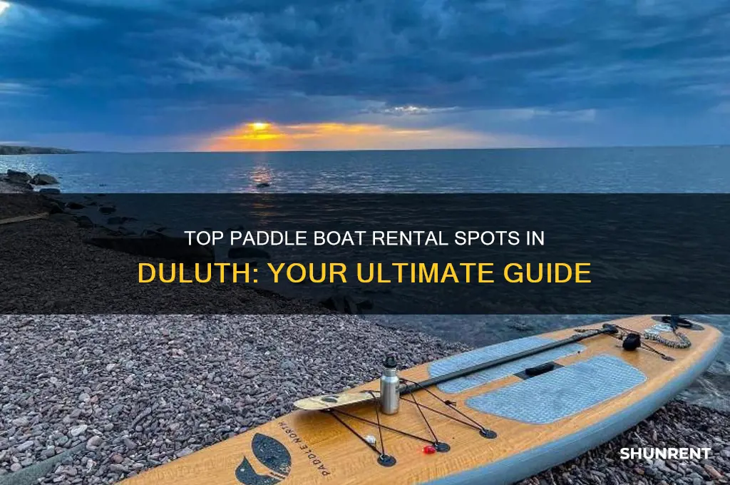 where to rent a paddle boat in duluth