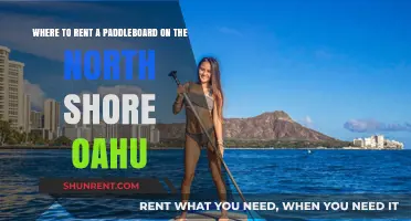 Top Paddleboard Rental Spots on Oahu's North Shore