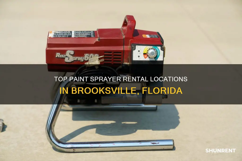 where to rent a paint sprayer brooksville florida