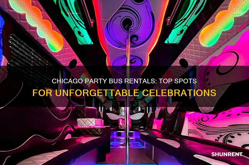 where to rent a party bus in chicago