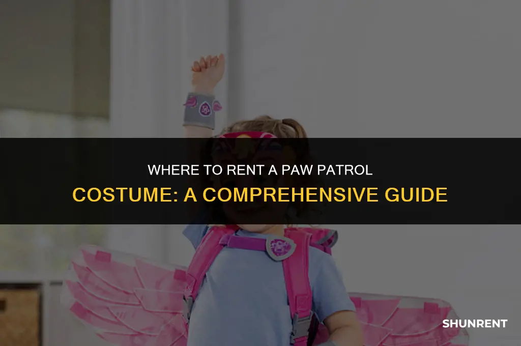 where to rent a paw patrol costume