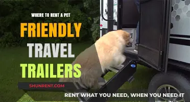 Pet-Friendly Travel Trailer Rentals: Top Destinations for Furry Adventures