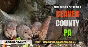Discover Top Petting Zoo Rentals in Beaver County, PA