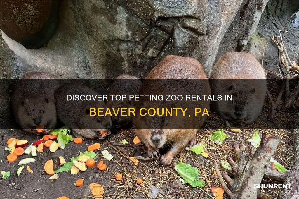where to rent a petting zoo in beaver county pa
