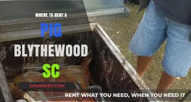 Discover Blythewood's Best Kept Secret: Rent a Pig Today!