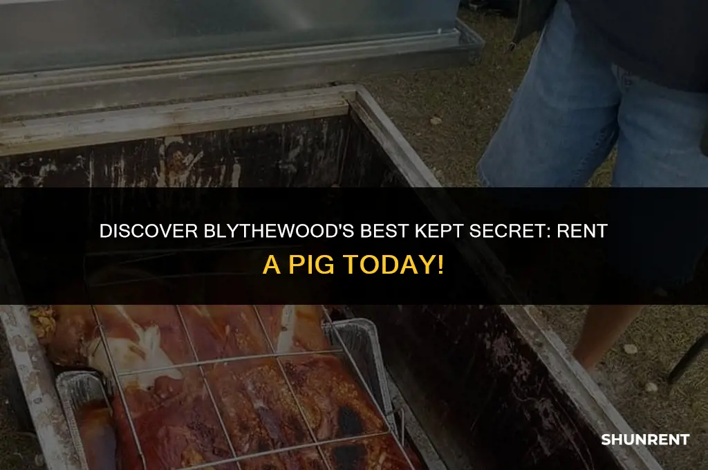 where to rent a pig blythewood sc