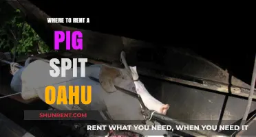 Discover the Best Spots to Rent a Pig Spit on Oahu