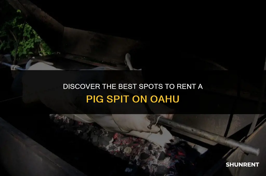 where to rent a pig spit oahu