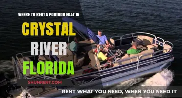 Top Pontoon Boat Rental Spots in Crystal River, Florida