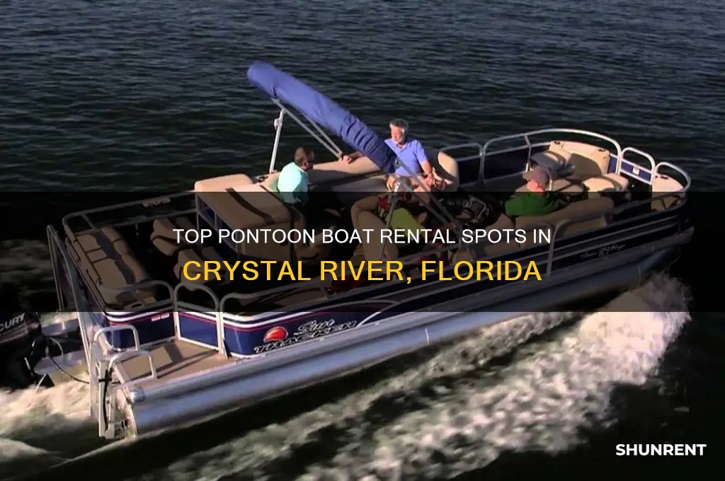 where to rent a pontoon boat in crystal river florida