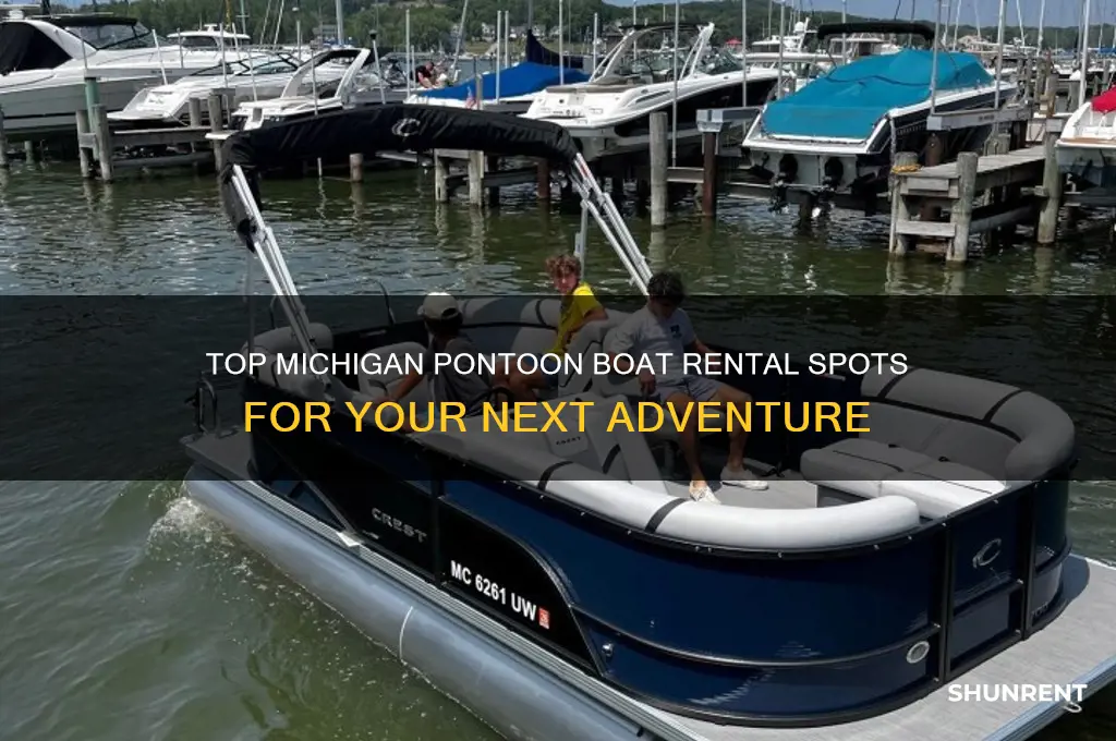 where to rent a pontoon boat in michigan