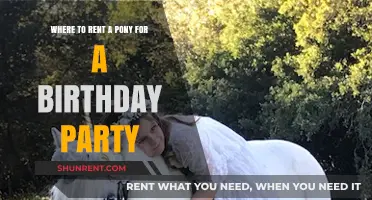 Unique Birthday Party Ideas: Where to Rent a Pony for Fun