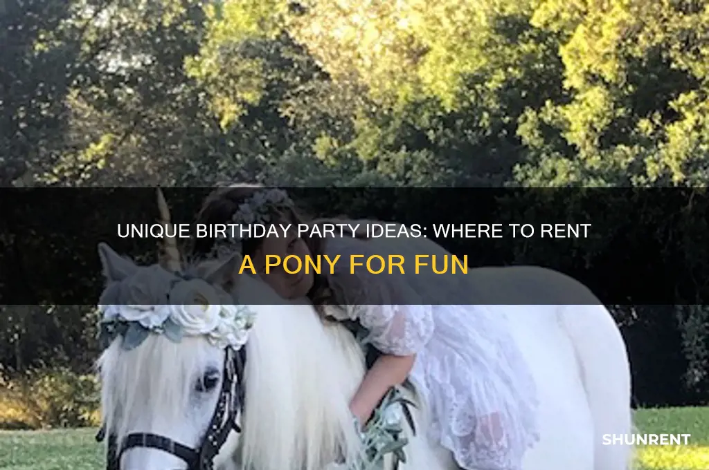 where to rent a pony for a birthday party
