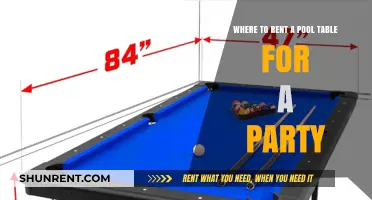 Top Pool Table Rental Options for Your Next Party
