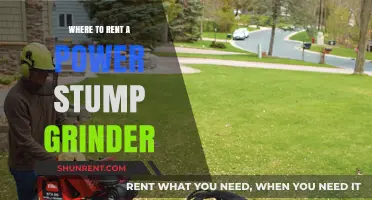 Where to Rent a Power Stump Grinder: Your Ultimate Guide