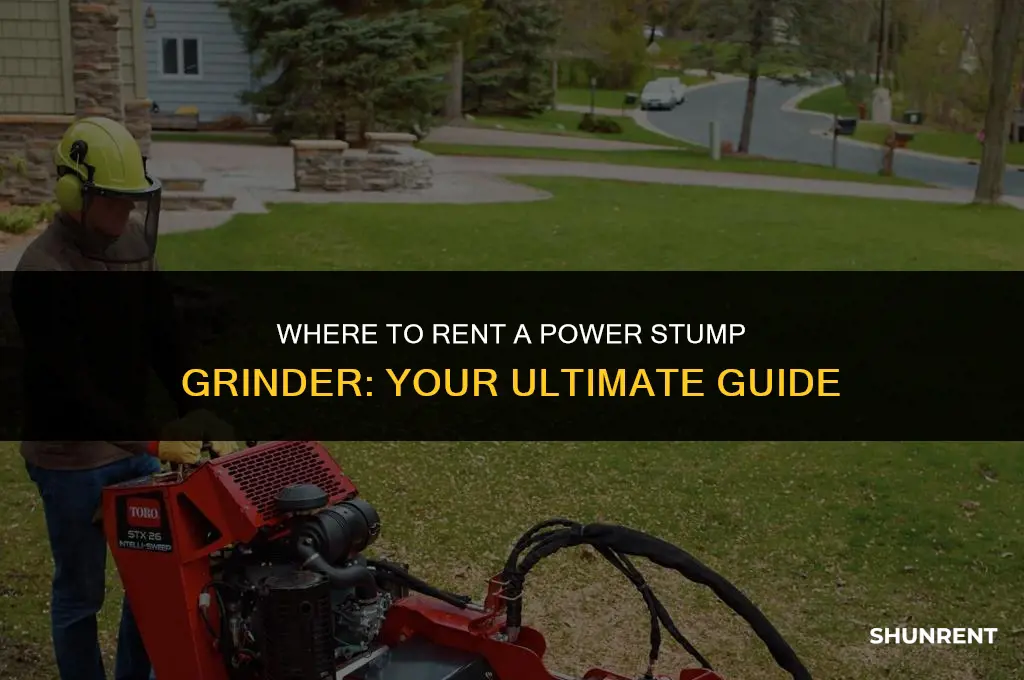where to rent a power stump grinder