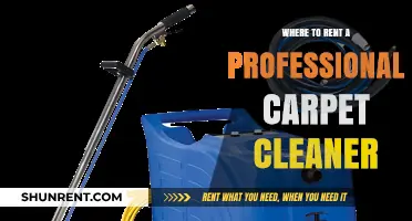 Where to Rent a Professional Carpet Cleaner: Your Ultimate Guide