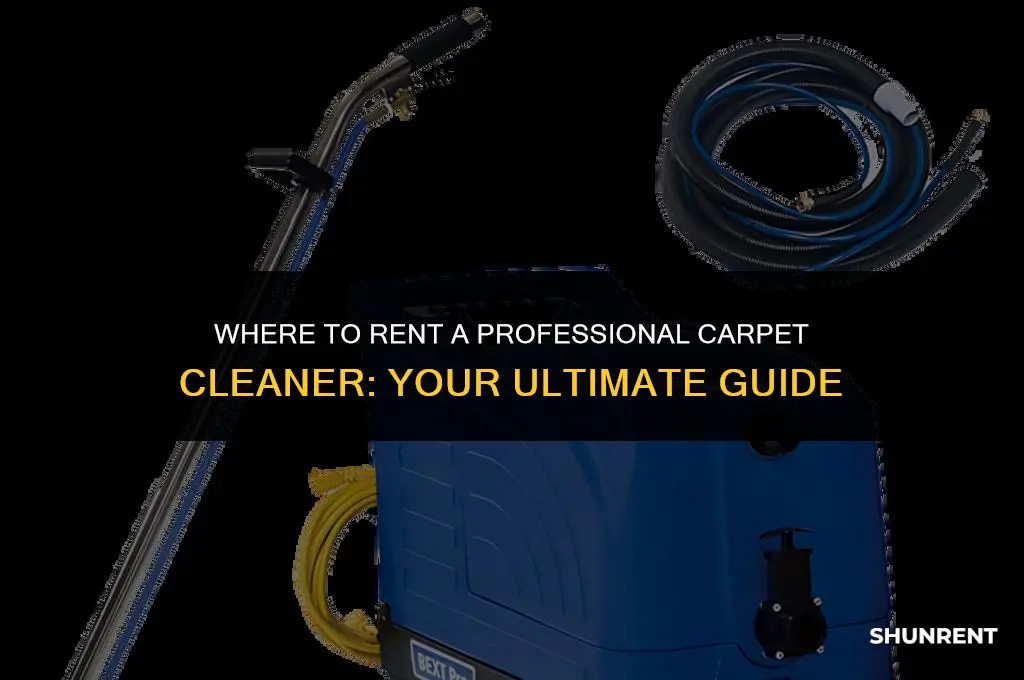 where to rent a professional carpet cleaner