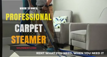 Where to Rent a Professional Carpet Steamer: A Comprehensive Guide