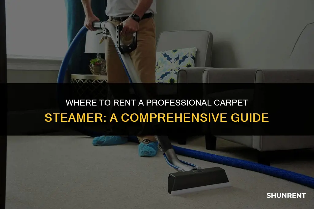 where to rent a professional carpet steamer
