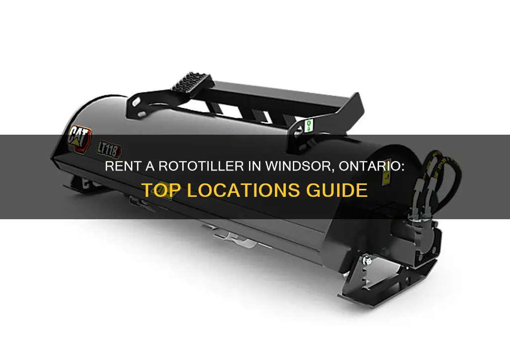 where to rent a rototiller in windsor ontario