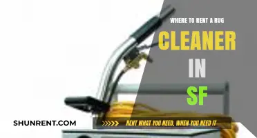 Top SF Rug Cleaner Rental Spots: Clean Carpets Made Easy