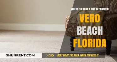 Vero Beach Rug Cleaner Rentals: Top Spots for Spotless Carpets