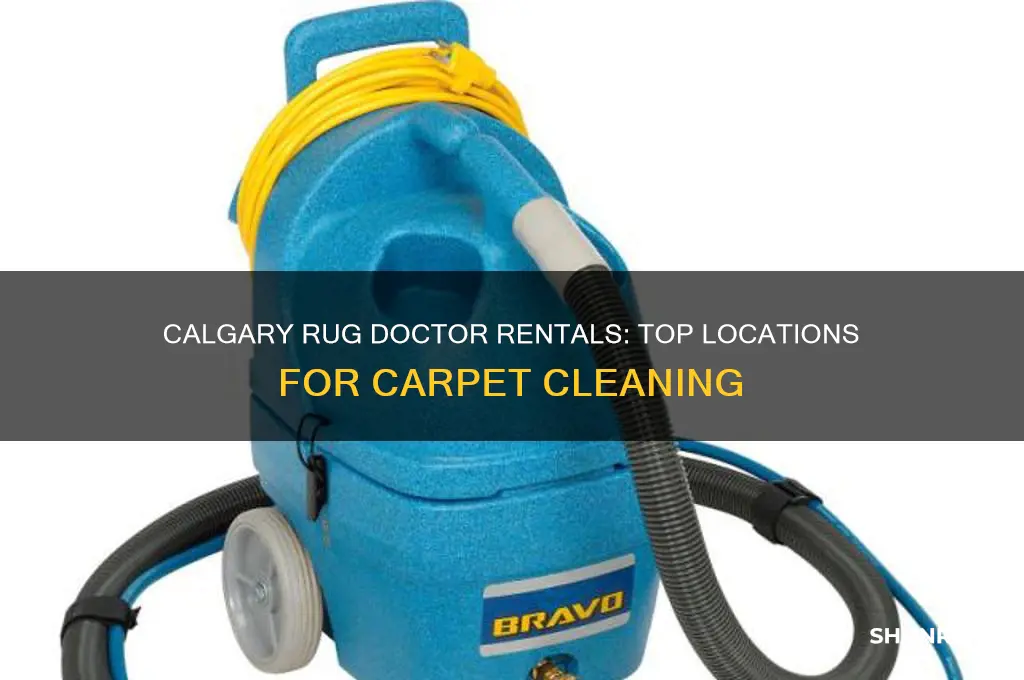 where to rent a rug doctor in calgary