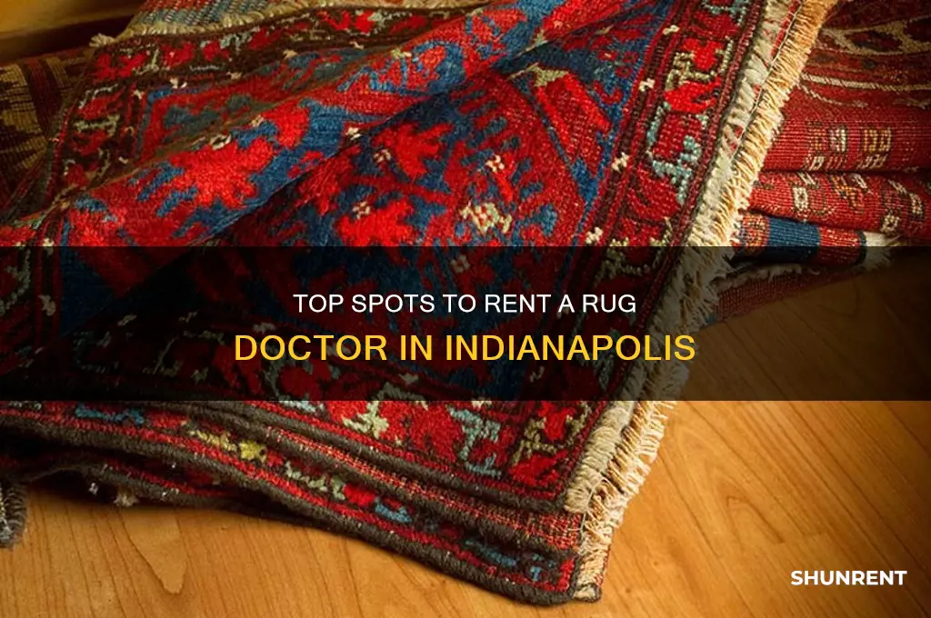where to rent a rug doctor in indianapolis