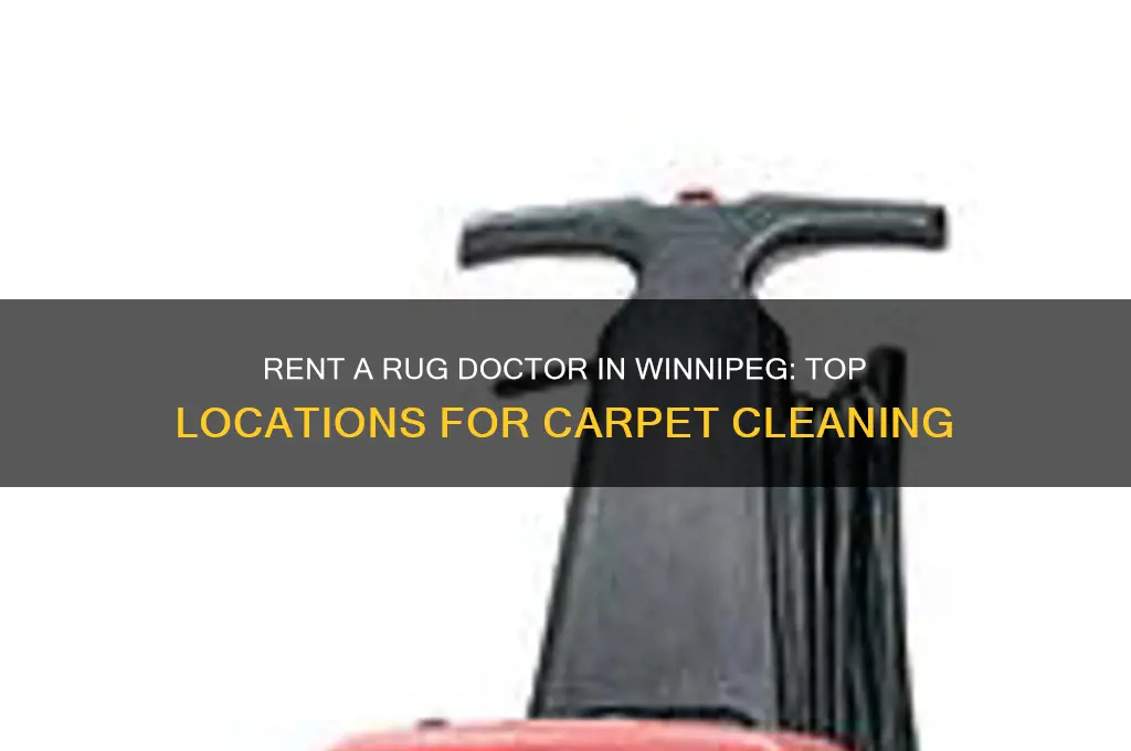 where to rent a rug doctor in winnipeg