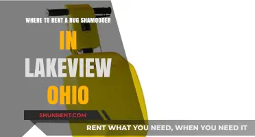 Rent a Rug Shampooer in Lakeview, Ohio: Top Local Options