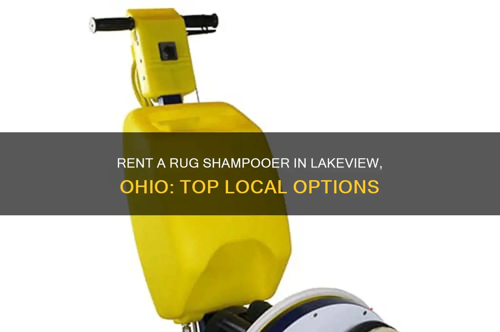 where to rent a rug shamoooer in lakeview ohio