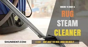 Where to Rent a Rug Steam Cleaner: Your Ultimate Guide