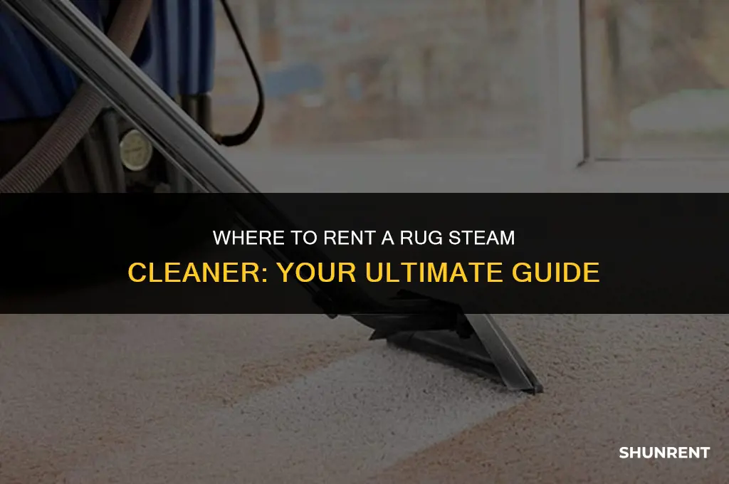 where to rent a rug steam cleaner