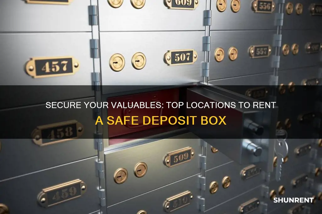 where to rent a safe deposit box
