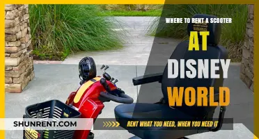 Best Scooter Rental Options for Disney World Visitors: A Guide