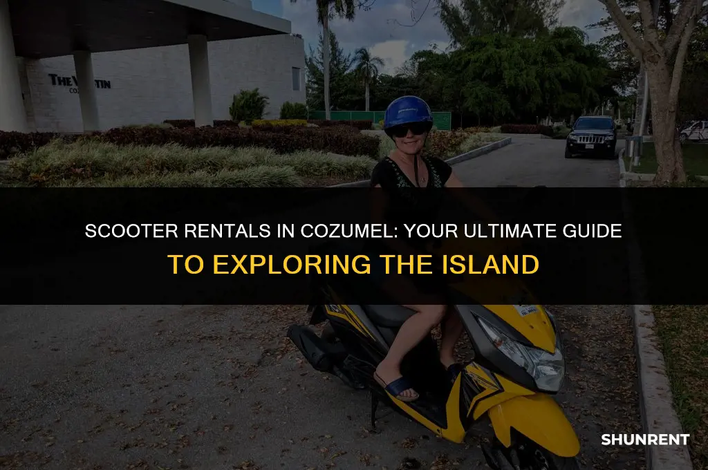 where to rent a scooter in cozumel