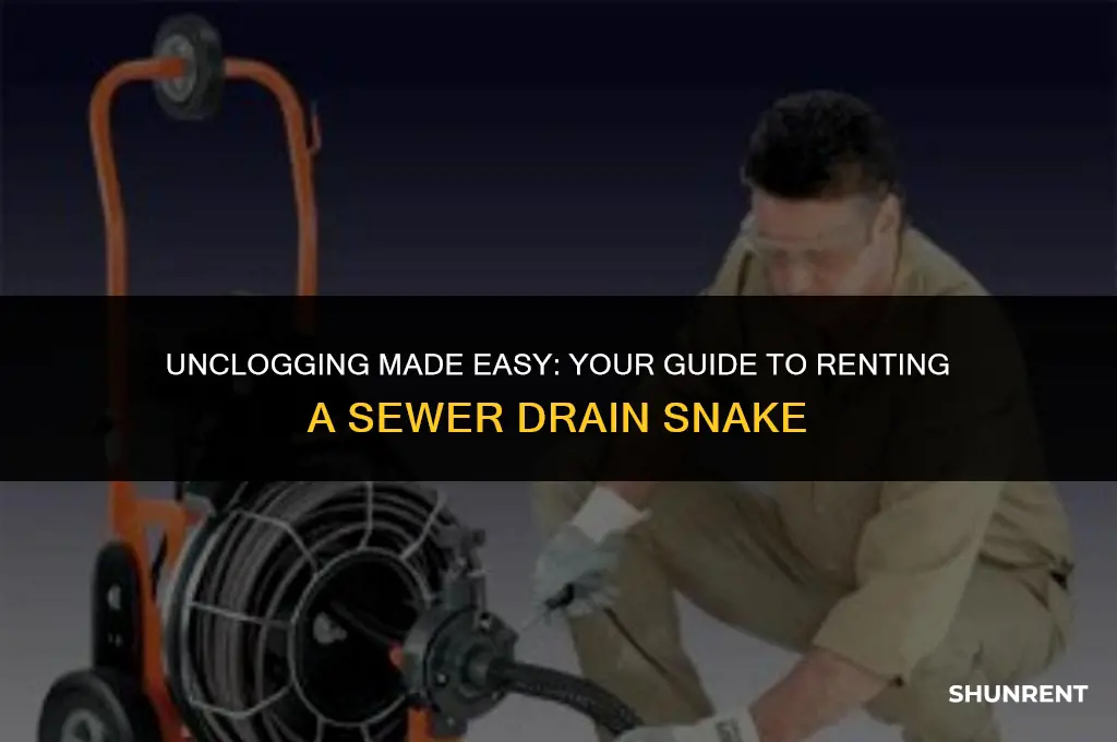 where to rent a sewer drain snake