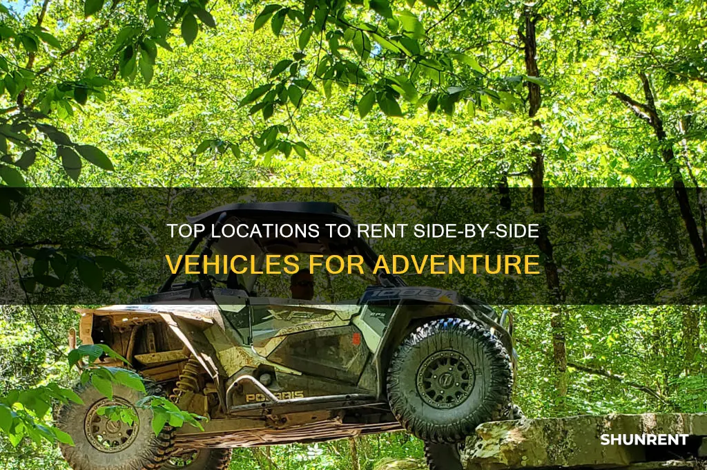 where to rent a side by side