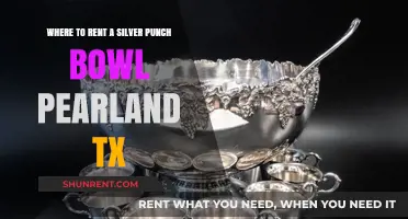 Renting a Silver Punch Bowl in Pearland, TX: Top Spots