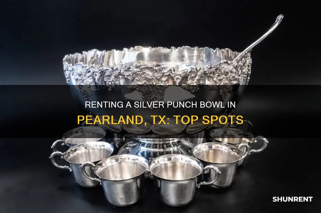 where to rent a silver punch bowl pearland tx