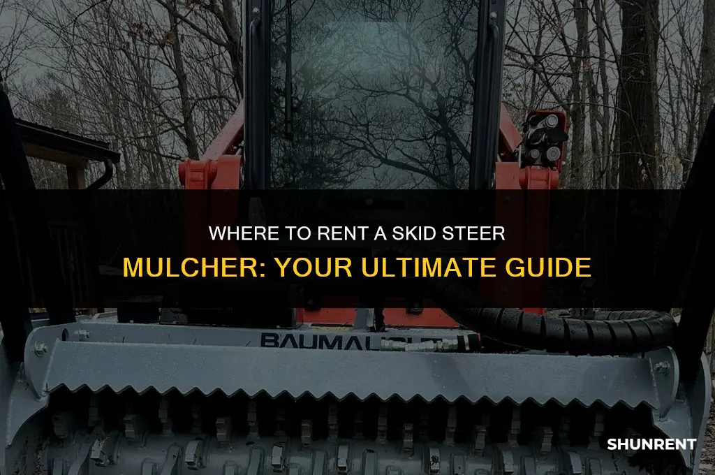 where to rent a skid steer mulcher