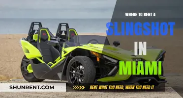 Slinging Fun in Miami: Your Guide to Renting a Slingshot