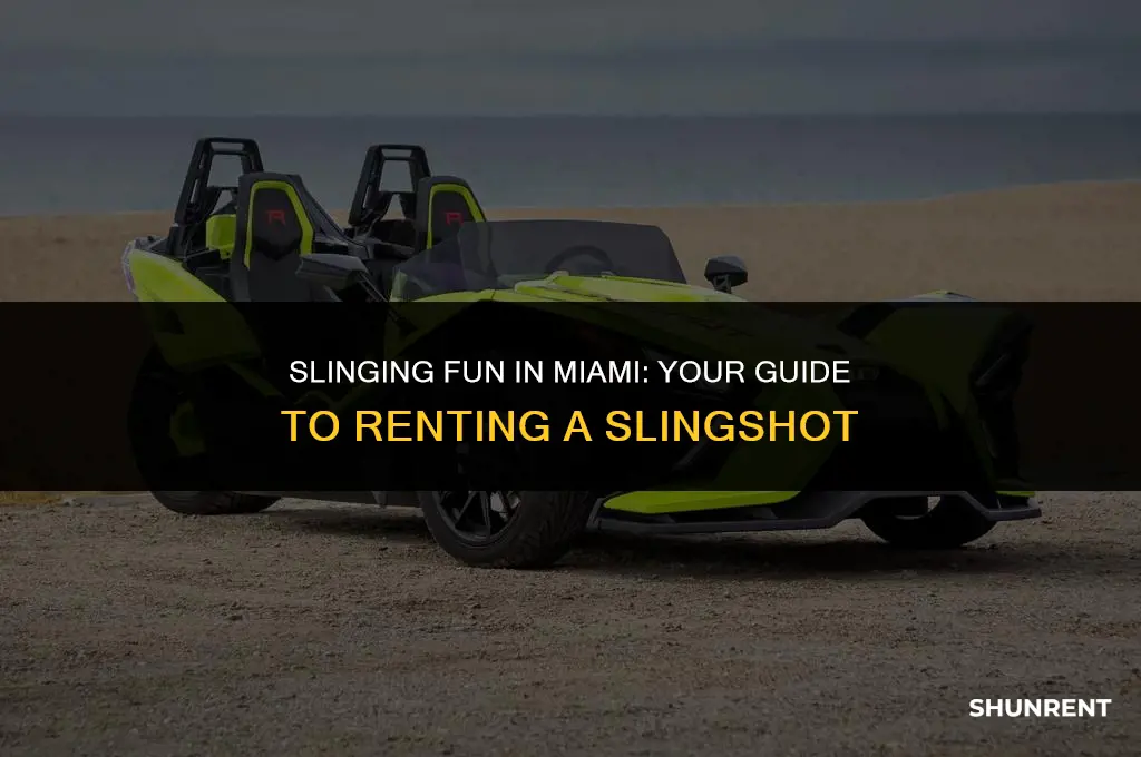 where to rent a slingshot in miami